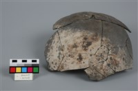 藏品(罐形器)的圖片