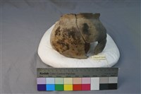 藏品(陶罐)的圖片