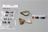 藏品(陶片)的圖片