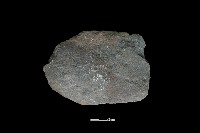 藏品(斧鋤形器)的圖片