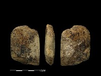 藏品(錛鑿形器)的圖片