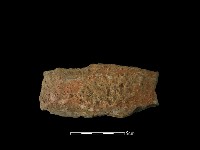 藏品(陶片)的圖片