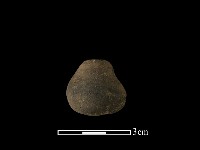 藏品(紡輪)的圖片