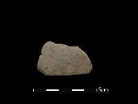 藏品(陶片)的圖片