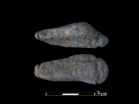 藏品(網墜)的圖片