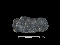 藏品(網墜)的圖片