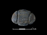 藏品(網墜)的圖片