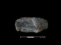 藏品(網墜)的圖片