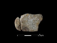 藏品(網墜)的圖片