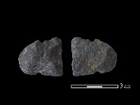 藏品(網墜)的圖片