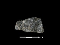 藏品(網墜)的圖片