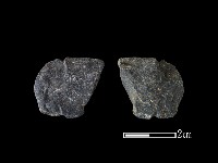 藏品(網墜)的圖片