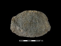 藏品(石片器)的圖片