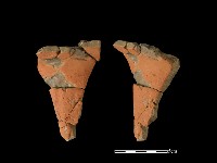 藏品(豆形器)的圖片