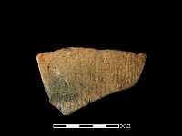 藏品(陶片)的圖片