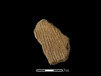 藏品(陶片)的圖片