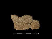 藏品(陶片)的圖片