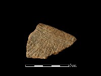 藏品(陶片)的圖片