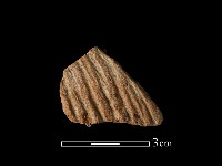 藏品(陶片)的圖片