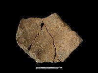 藏品(陶片)的圖片