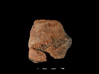 藏品(陶片)的圖片