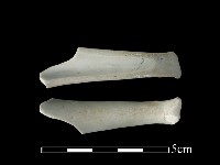 藏品(湯匙)的圖片