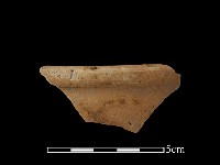 藏品(陶片)的圖片