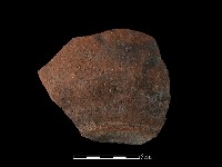 藏品(硬陶片)的圖片