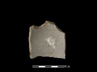 藏品(瓷碗)的圖片