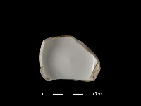 藏品(瓷杯)的圖片