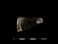 藏品(玻璃片)的圖片