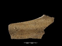 藏品(瓦片)的圖片