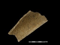 藏品(瓦片)的圖片