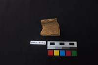 藏品(陶片)的圖片