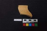 藏品(陶片)的圖片