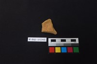 藏品(陶片)的圖片