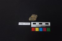 藏品(陶片)的圖片