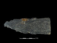 藏品(斧鋤形器)的圖片