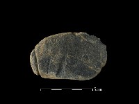 藏品(網墜)的圖片