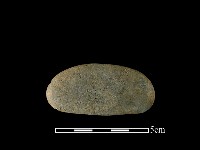 藏品(網墜)的圖片