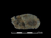 藏品(網墜)的圖片