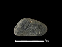 藏品(網墜)的圖片