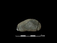 藏品(網墜)的圖片