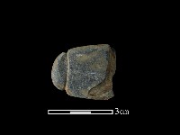 藏品(網墜)的圖片