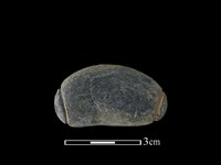 藏品(網墜)的圖片