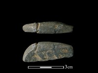 藏品(網墜)的圖片