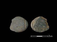 藏品(網墜)的圖片