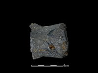 藏品(戈形器)的圖片