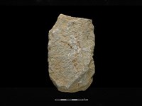 藏品(斧鋤形器)的圖片