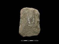 藏品(斧鋤形器)的圖片